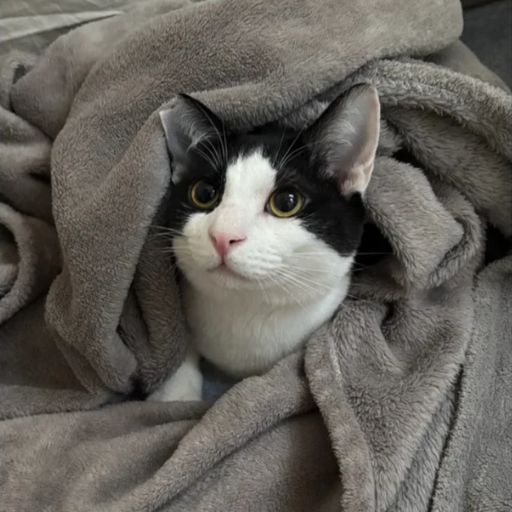 休日の過ごし方